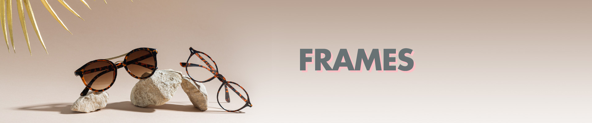 frames page header image