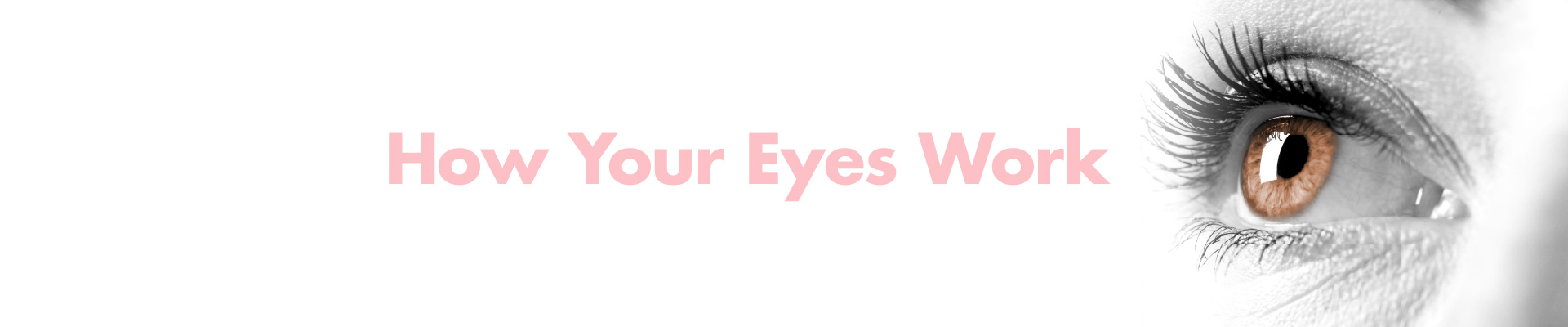 how your eyes work banner